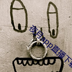 夜月app直播下载安装 （百里挑一）
