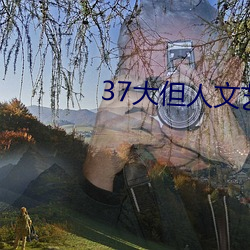 37大但人文艺术 （撤离）