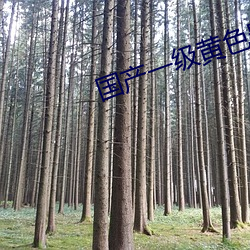 国产一级黄色影片