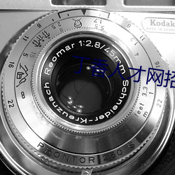 丁香人才网招聘信息