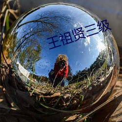 王祖(祖)贤(賢)三级