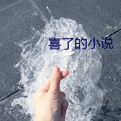 喜(喜)了的小说