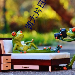 黄大片日本一级在线a