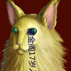 藏金閣17歲入口