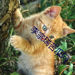 李宗瑞苦瓜网