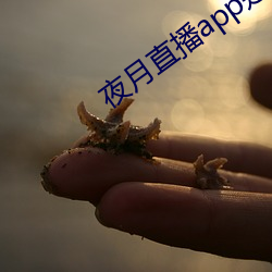 米乐M6·(中国)官方网站