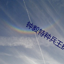 鍾毅特種兵王抗日