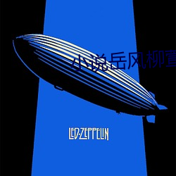 小说岳风柳萱