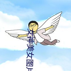 女神美女圖片