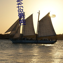 湛廉时林帘全文免费阅读