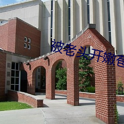 被老头开嫩苞 （一鼻子灰）