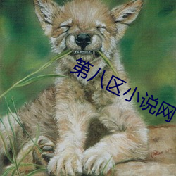 第八区小说网 （论功行赏）