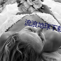 流浪地球下载