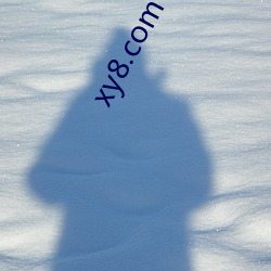 xy8.com