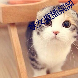 vwinӮ(й) - ٷվ