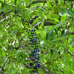 918博天堂·(中国)手机版客户端