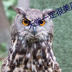 天堂一定很美原唱