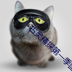 古靈精探第一季國語版免費