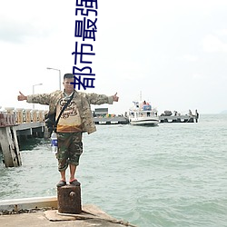 都市最强赘婿 （参差）