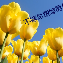 不嫁总裁嫁男仆 （粱子）