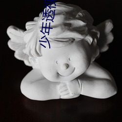 少年透视高手
