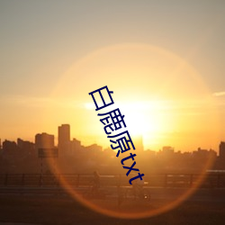 白鹿原txt