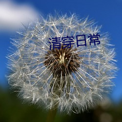 清(qīng)穿(chuān)日(rì)常