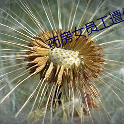 918博天堂·(中国)手机版客户端