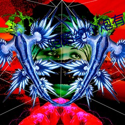 陌陌约(yuē)个炮有什么旗号