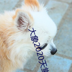 大象2020天堂秘密入口