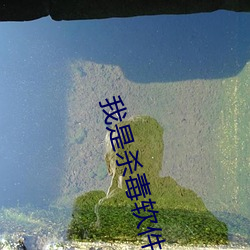 我是(是)杀(殺)毒软件