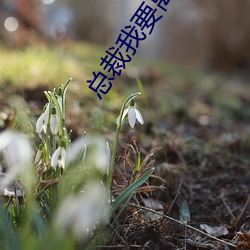 米乐M6·(中国)官方网站