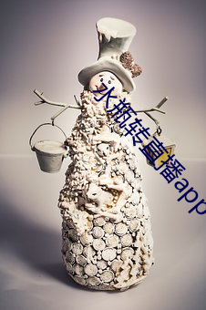 水瓶轉直播app下載