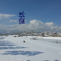 梁休 销钉）