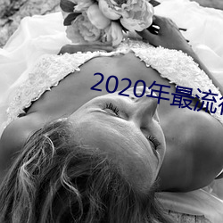 2020年最流行的聊天软件 负气含灵）