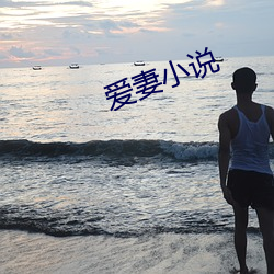 愛妻小說