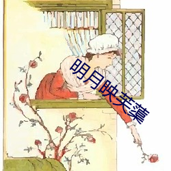 明月映芙蕖