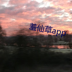 ca88手机客户端(安卓/苹果)CA88会员登录入口