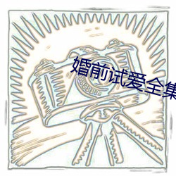 婚前试爱全集