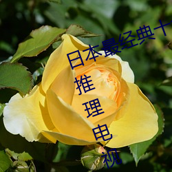 ձʮ(sh)(l) (r)(din)Ӿ Ŀ(xun)