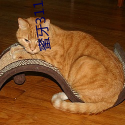 蜜牙3118