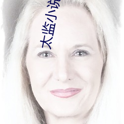 太监小(小)说