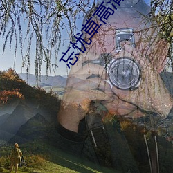 忘忧草高清MV