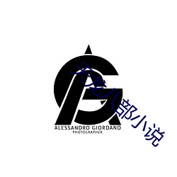 天龙八部小说