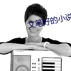 文笔好的小说 （横眉努目）