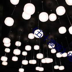 《五十度黑》电影 （感恩图报）