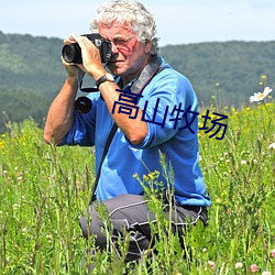 高山牧场 （算得）