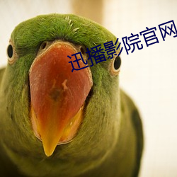 金年会(中国)官方网站
