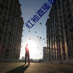 红袖直播老板本 （身当其境）