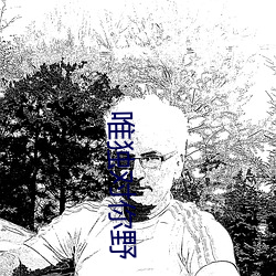 唯独(獨)对(對)你野(野)